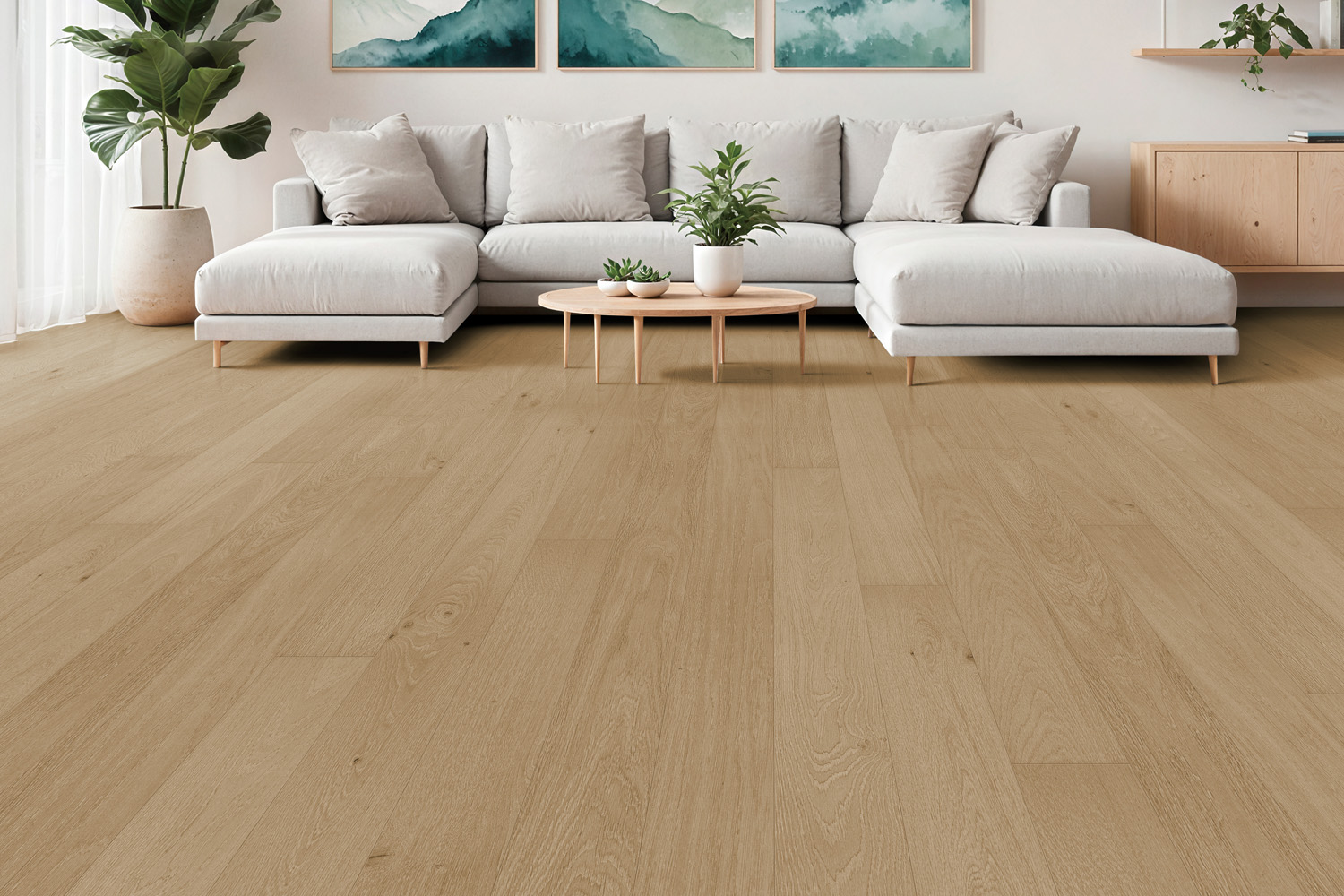 Provenza Cadeau Collection - New!